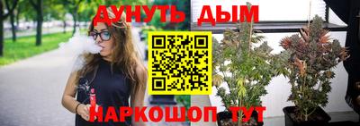 стафф Новозыбков