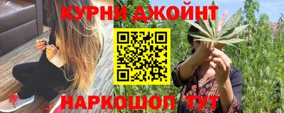 стафф Новозыбков