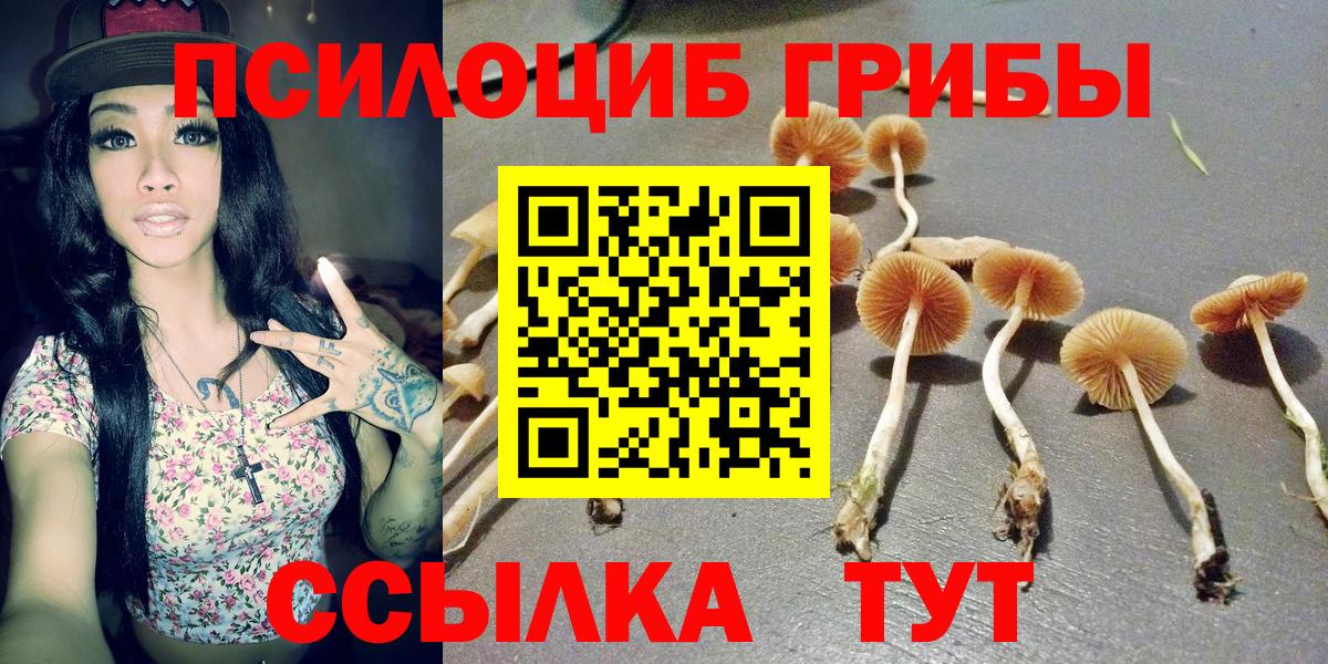 Галлюциногенные грибы GOLDEN TEACHER Усолье-Сибирское